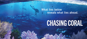 screening Chasing Coral @ Skid Row Histroy Museum & Archive